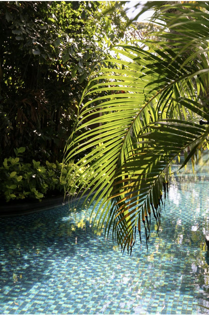 Conception et construction de piscine